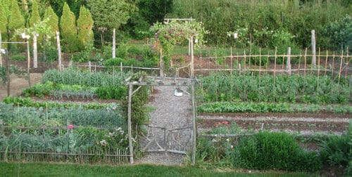 lee reich vegetable garden