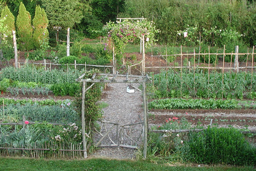 lee reich vegetable garden