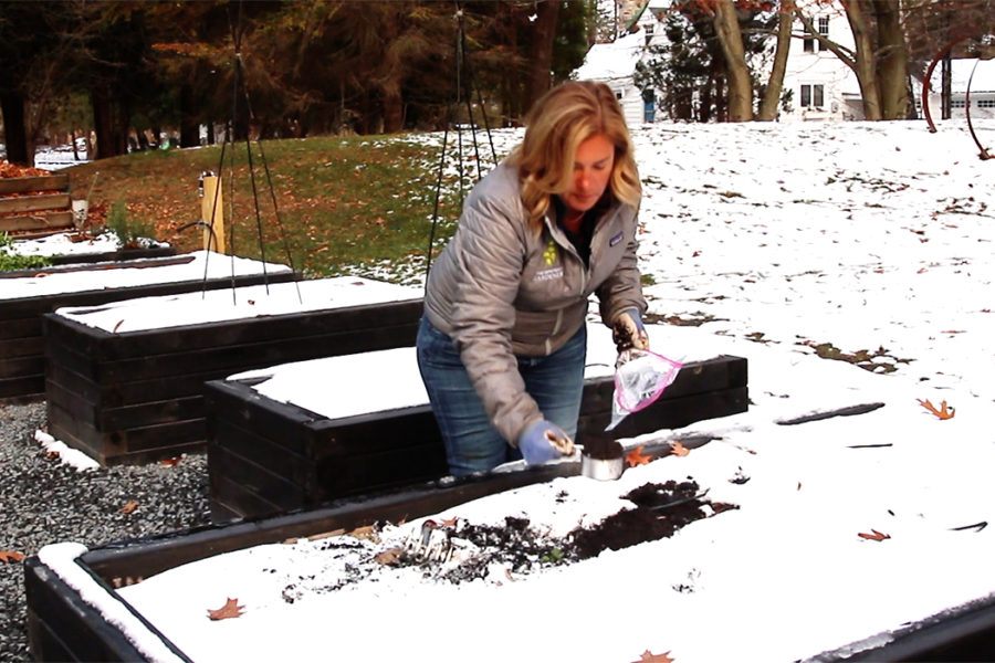 how to do a soil test