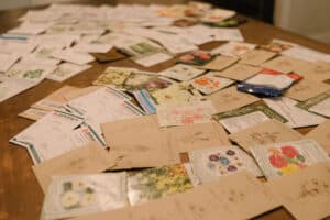 So many seed packets that a plan is called for