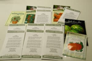 Tomato seeds