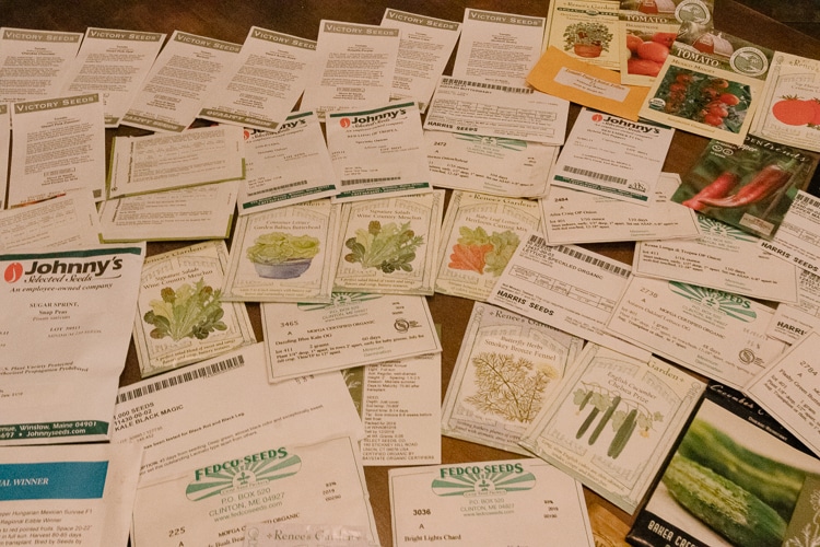 Vegetable and herb seeds