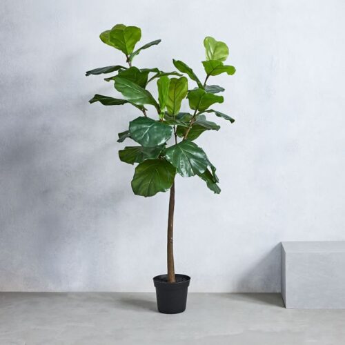 fake fiddle-leaf fig