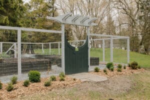 vegetable garden entrance