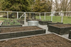 raised garden beds