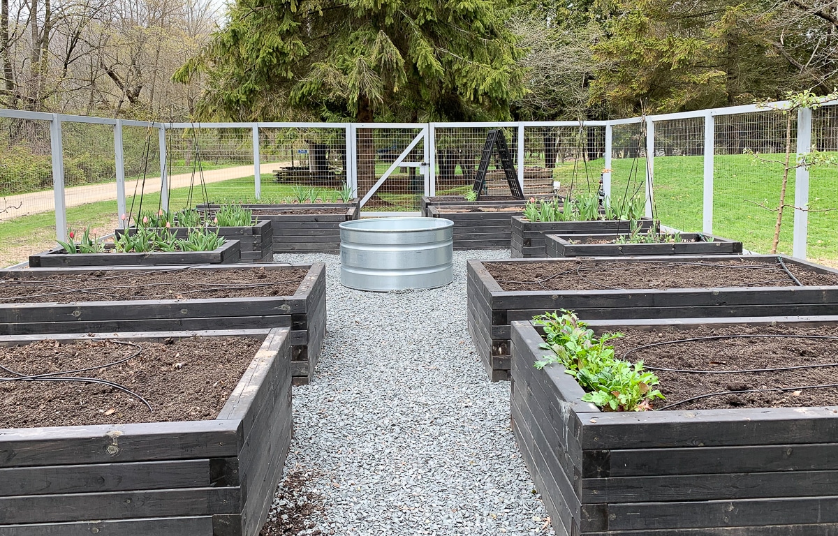 raised vegetable garden