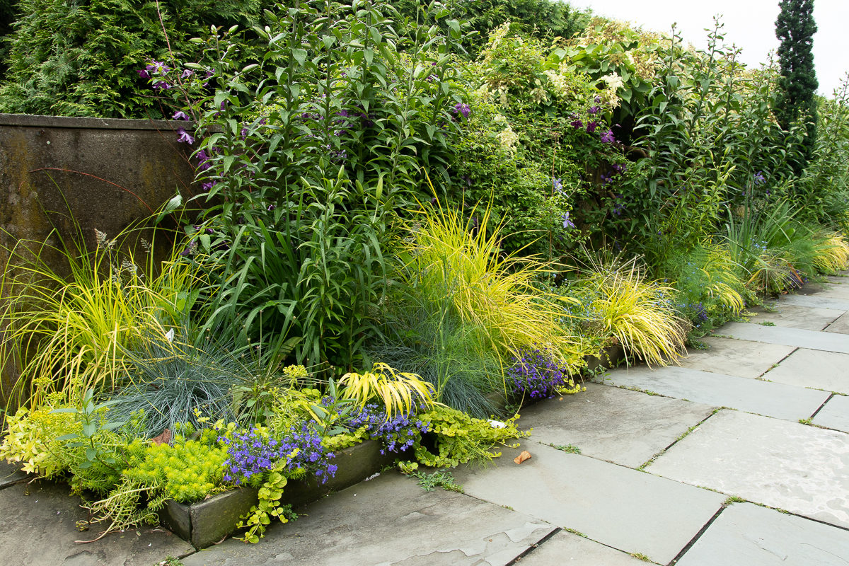 Why A Gardening Show Had Me In Tears The Impatient Gardener