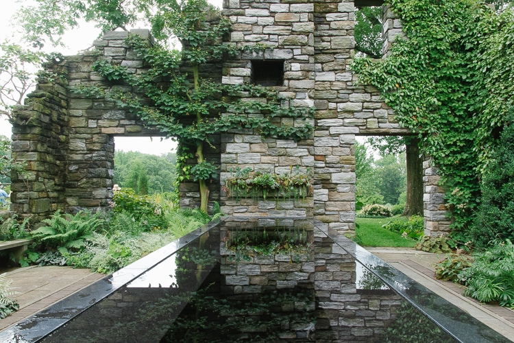 chanticleer ruins espalier