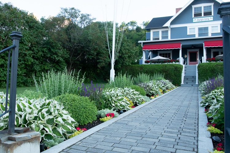 pathway planting