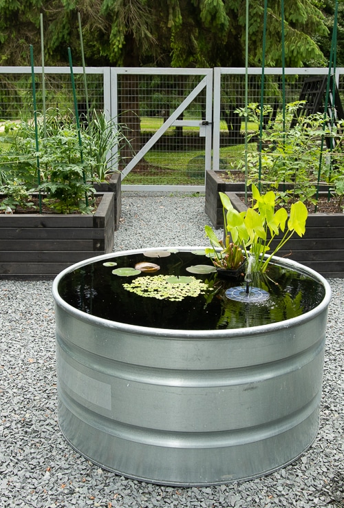 container pond