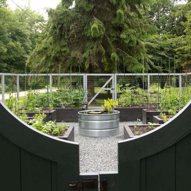 container pond through gate