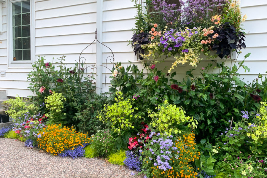 Annual border