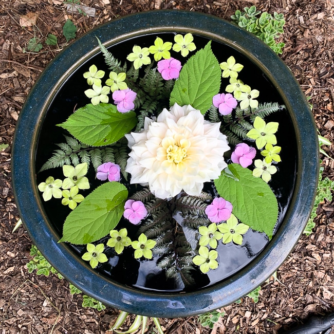 floating flower arrangement