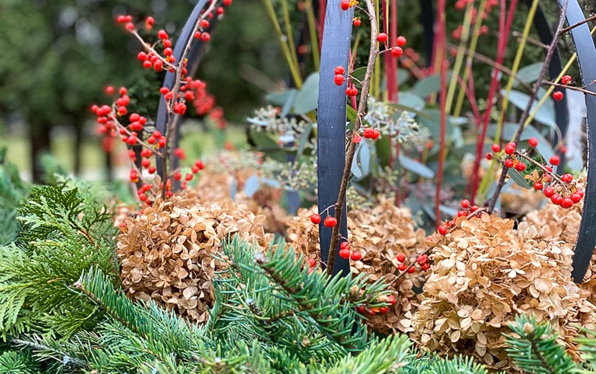 Gardeners Gift Guide The Impatient Gardener