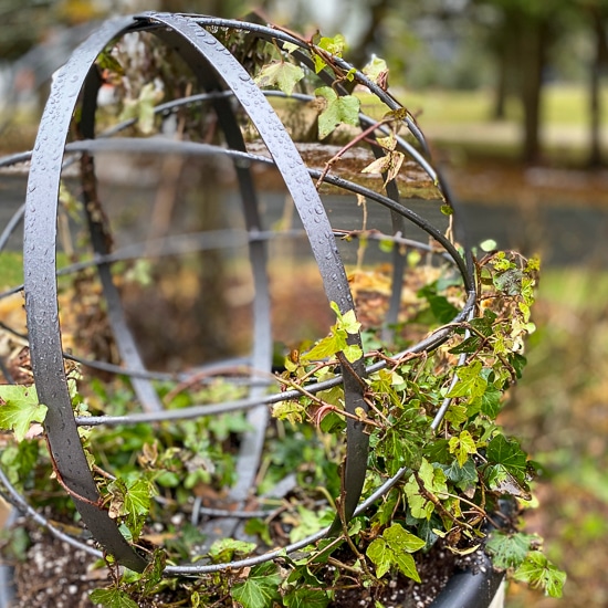 garden orb