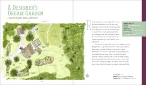 garden illustration