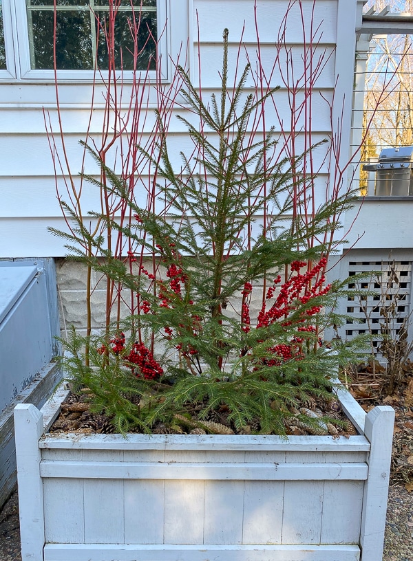 simple winter container