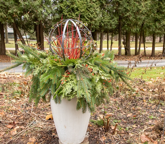 tall winter container