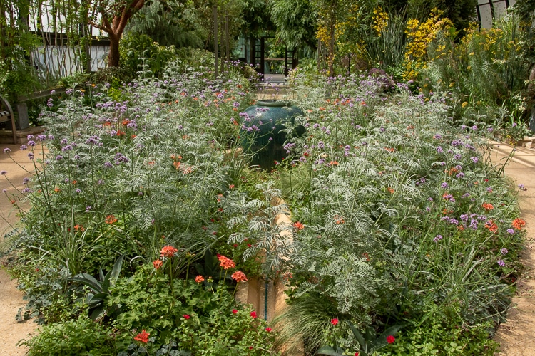 dry garden