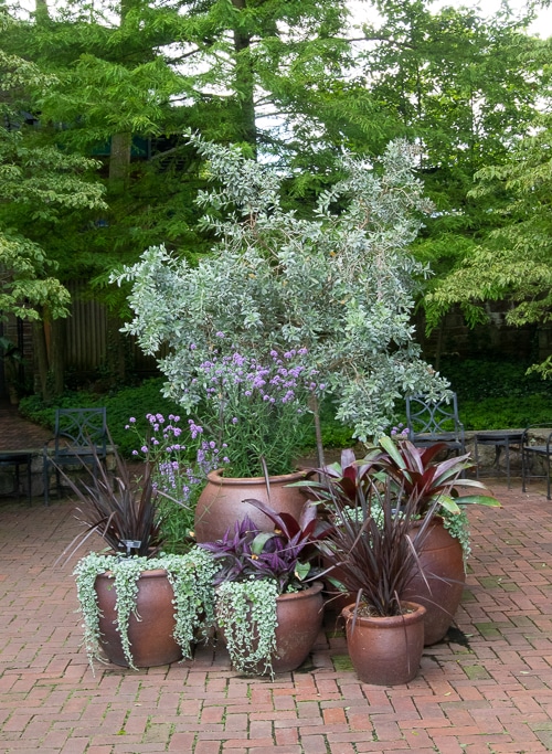 pot cluster