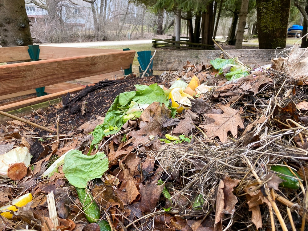 Composting 101: Keep Your Compost Pile Moist - Bonnie Plants