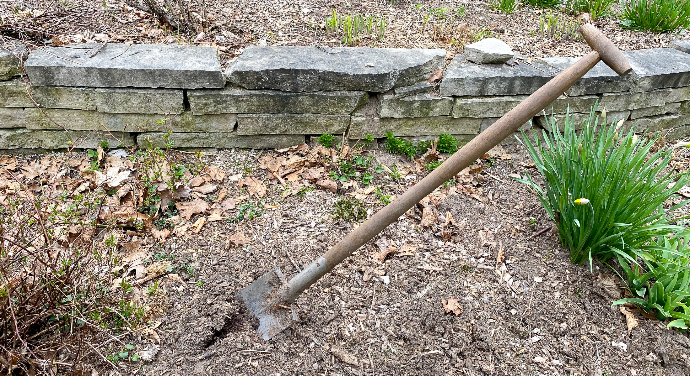 Wanted An heir for a beloved gardening tool The Impatient Gardener