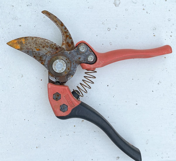 Rusty hand pruner in need of repair