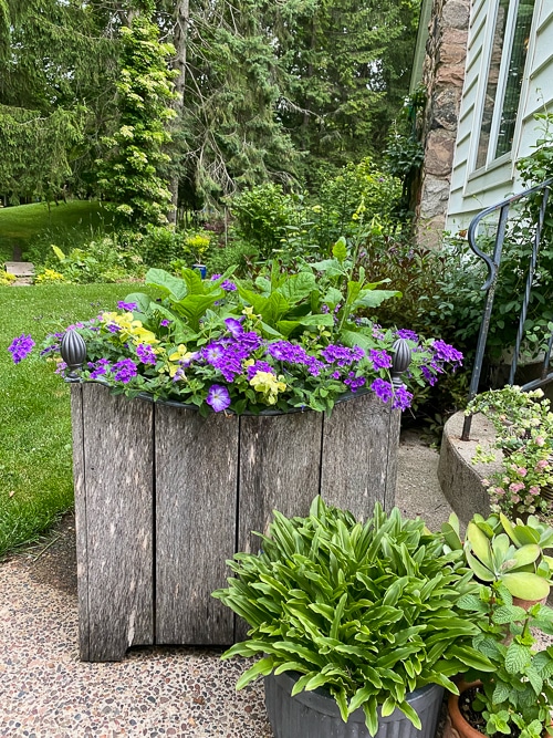 container gardeneing planter