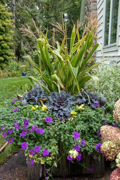 fall planter with kale