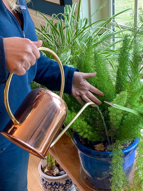 copper watering can