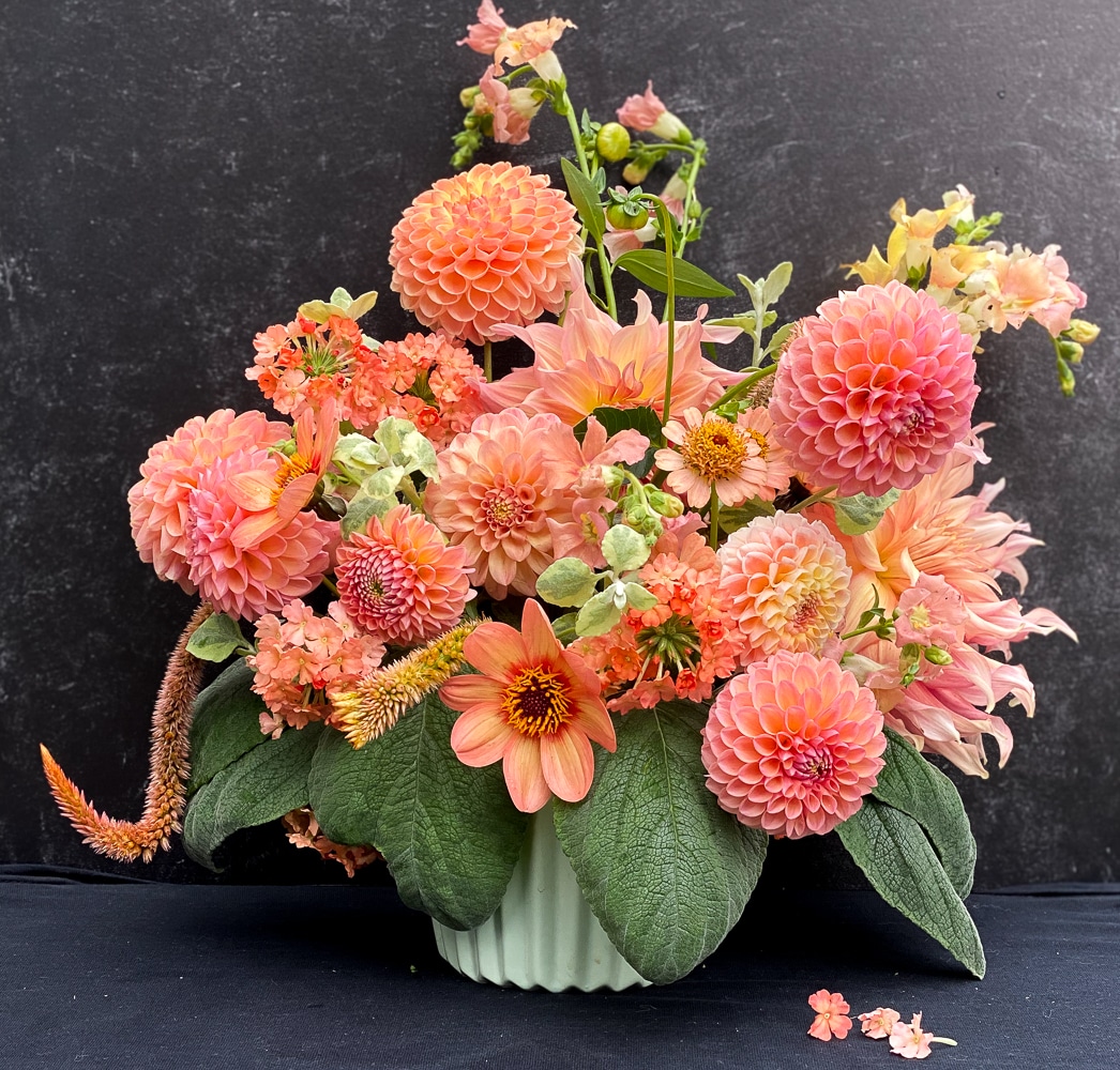 apricot bouquet