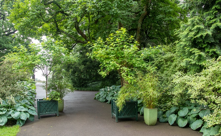 pots to block a walkway