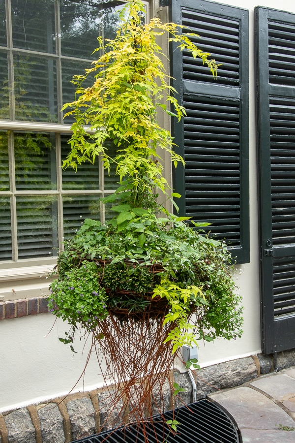 hanging planter with wicker branches