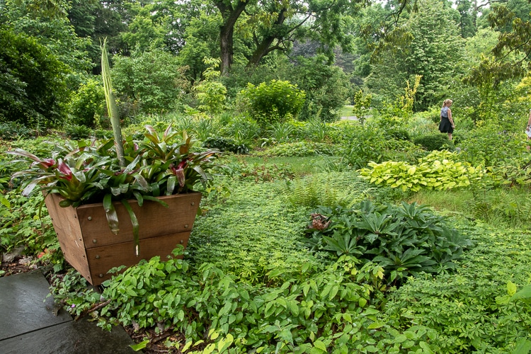 wood planter in garden