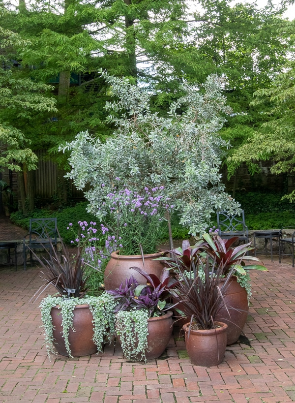 Cluster of pots