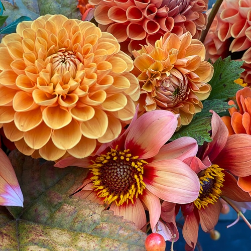 orange flowers