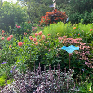 'Wild Magic' basil, at the bottom of the photo, is a beautiful edible that I love to mix with dahlias.