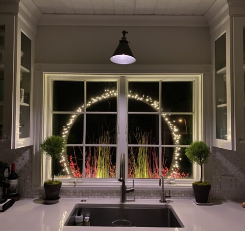 Window box as seen from inside