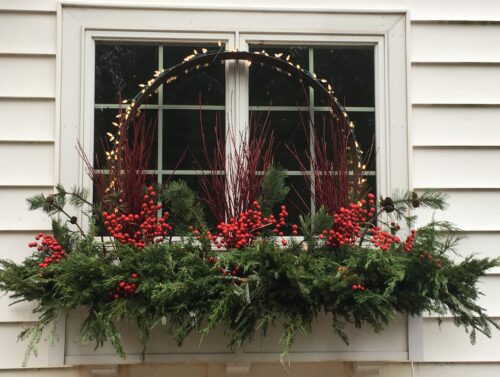 window box with greens