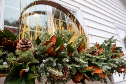 Magnolia leaves in window box