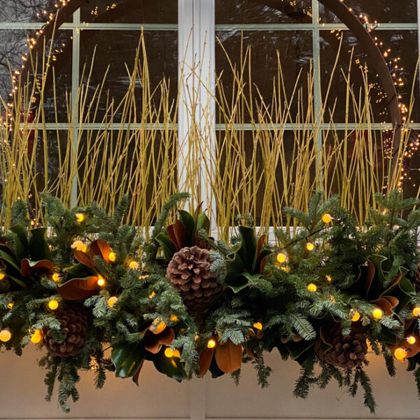 winter window box lit for the holidays