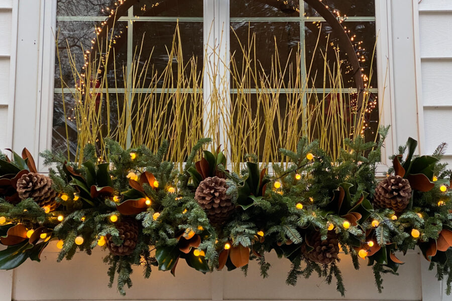 winter window box lit for the holidays