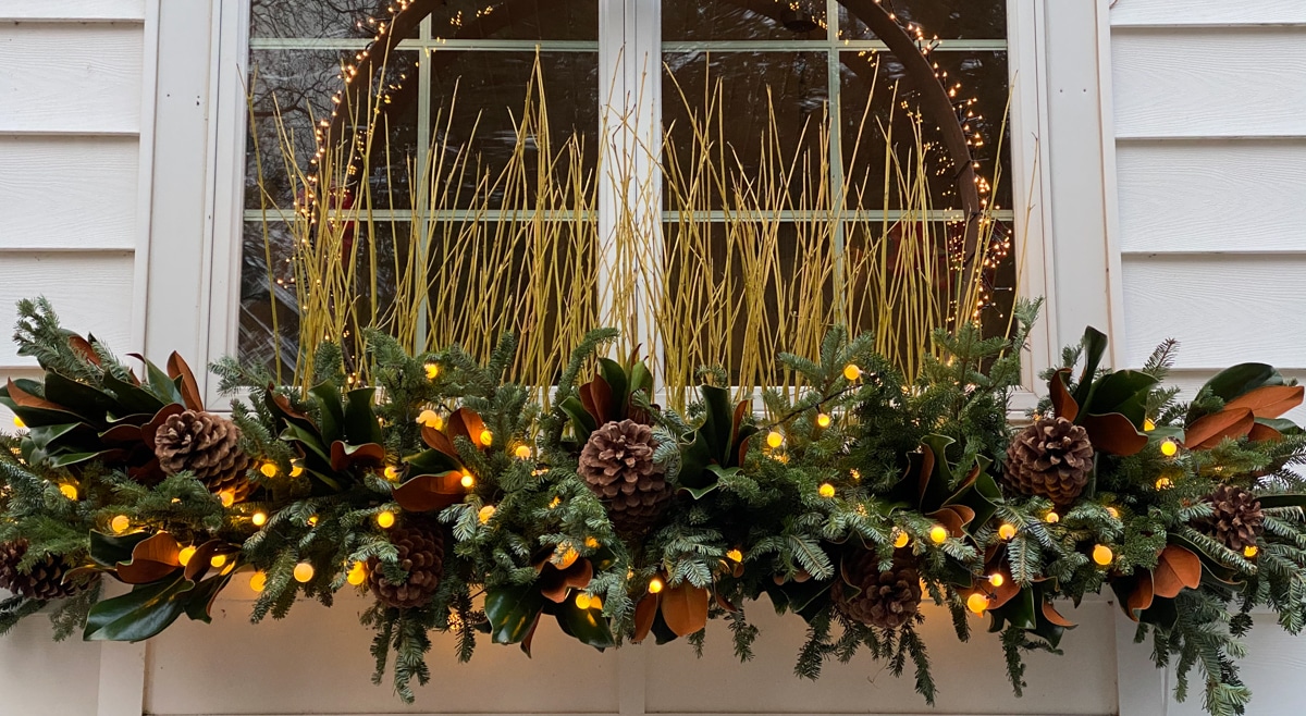 winter window box lit for the holidays