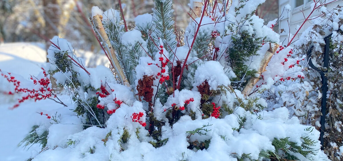 snow planter