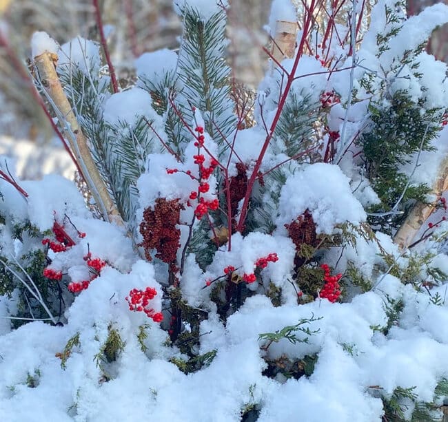 snow planter