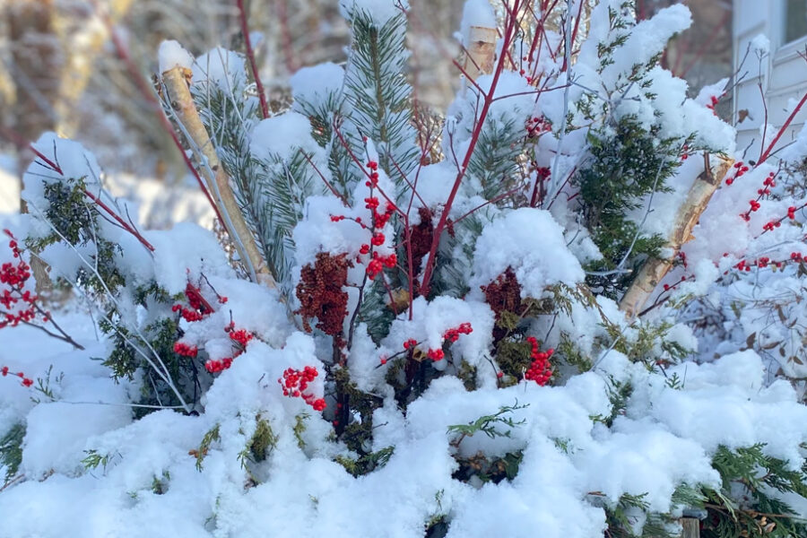 snow planter