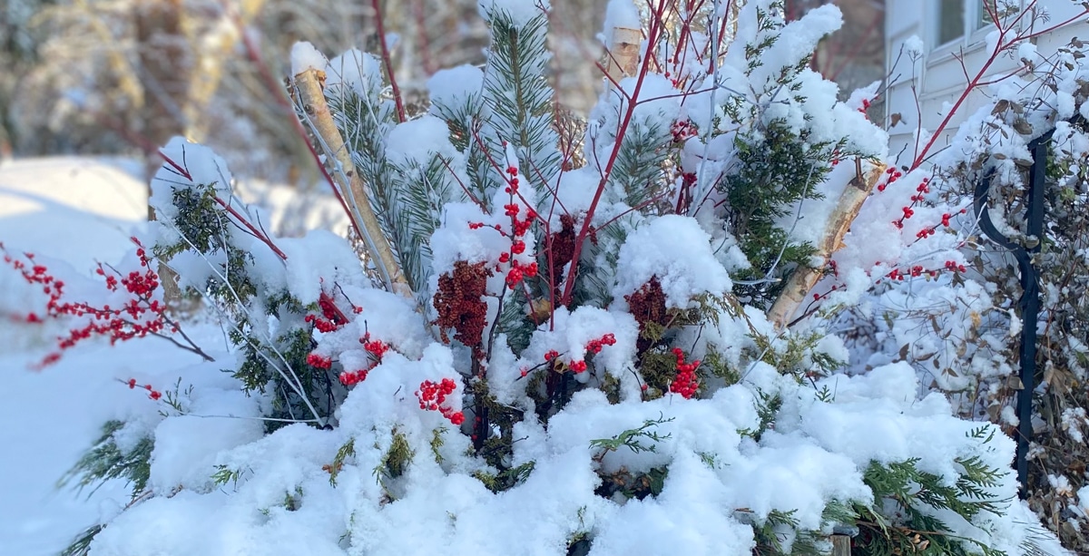 snow planter