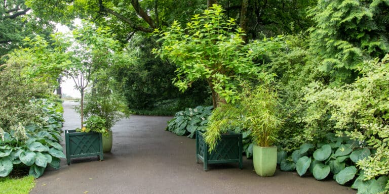 green planters with green foliage