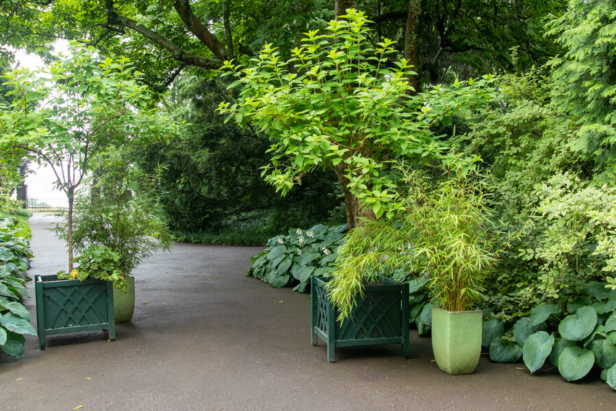 green planters with green foliage