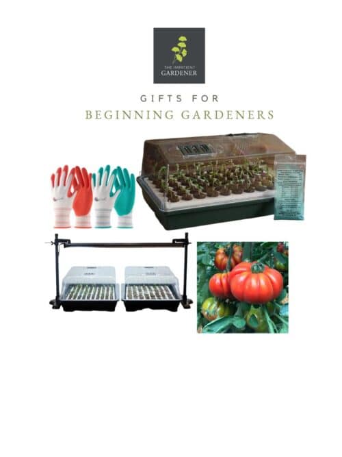 gifts for beginner gardeners